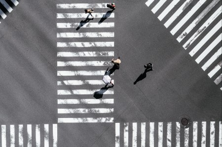 people walking in the street