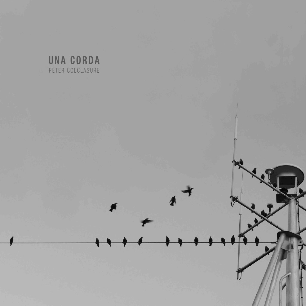 "Una Corda" LP artwork of birds on a wire.